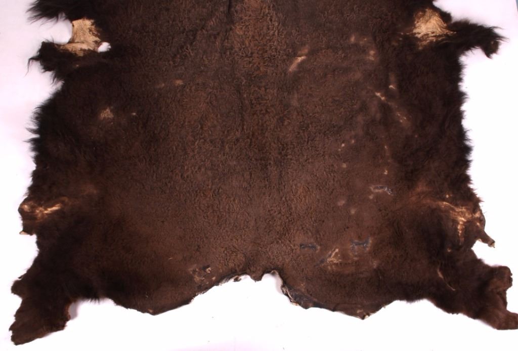 Montana Tanned Buffalo Hide Rug