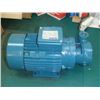 Image 2 : Calpeda 1HP Peripheral Pump, TP-80E