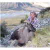 Image 1 : Tahr hunt with Southern Mtn. Adventures