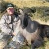 Image 2 : Tahr hunt with Southern Mtn. Adventures