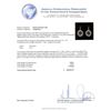Image 3 : 0.25ctw Sapphire and Diamond Earrings - 14KT White Gold