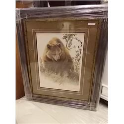 FRAMED LIMITED EDITION PRINT - GRIZZLY IN THE CHOKE CHERRIES - AMY BRACKENBURY - GALLERY ESTIMATE - 