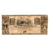 Image 1 : 1800s $20 The Mechanics Bank Augusta Georgia Bank Note