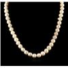 Image 1 : 7-9MM Cultured Pearl Loose Strand Necklace