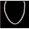 Image 1 : 7-8.25MM Cultured Pearl Loose Strand Necklace