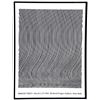 Image 1 : Bridget Riley, Richard Fiegen Gallery Exhibition, Poster
