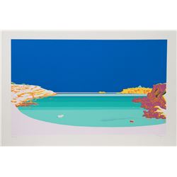 Manolo Tarazona, Amopi, Silkscreen