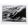 Image 1 : Lucien Clergue, Nu de la Mer (No. 2), Photograph