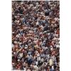 Image 1 : Willie Miller, Face in a Crowd, Color Photograph