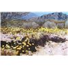 Image 1 : Edson Newquist, Desert Spring, Giclee Print