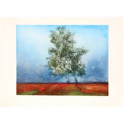 Kaiko Moti, Champs de Lavande, Etching