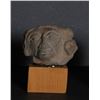Image 1 : Pre-Columbian Artifact, Possibly Zapotec Head Fragment, Terra Cotta