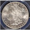 Image 2 : 1889 MORGAN SILVER DOLLAR, PCGS MS-64+  LOOKS MS-65