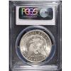 Image 4 : 1889 MORGAN SILVER DOLLAR, PCGS MS-64+  LOOKS MS-65