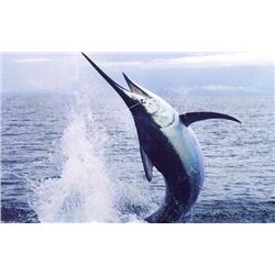 Lad Shunneson & Ken Wilson Adventures: 6 Nights All incluside Zihuatenejo, Mexico for 2 People with