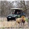 Image 2 : Kido Safaris: 6 Nights/7 Days Photographic Safaris with Hunting Option for 2 people