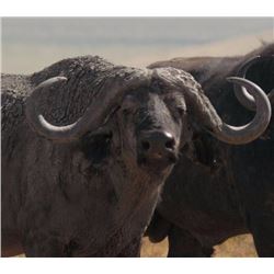 Wintershoek Safaris: 11 Nights/10 Days Hunting for 2 Individuals