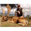 Image 2 : Hunt Trip Spain: 4 Days of Big Game Hunting in NE Spain for 1 Hunter and 3 Days sightseeing for non-