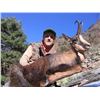 Image 5 : Hunt Trip Spain: 4 Days of Big Game Hunting in NE Spain for 1 Hunter and 3 Days sightseeing for non-
