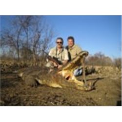 Watts Trophy Hunting:10 Day Crocodile Hunt for One Hunter in Mupumalanga Province of South Africa.
