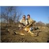 Image 1 : Watts Trophy Hunting:10 Day Crocodile Hunt for One Hunter in Mupumalanga Province of South Africa.