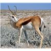 Image 1 : Wintershoek Safaris: 11 Days/10 Nights for 2 Individuals