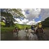 Image 4 : Sporting Adventures International: Six Full Days and Nights in an Eight Person Villa in Costa Rica.