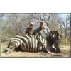 Image 2 : Global Safaris: 10 Day/9 Night South African Hunt for up to 4 Hunters.
