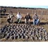 Image 2 : MG Hunting: 2 Day Pigeon and Dove Hunt for 4 Hunters in Argentina.