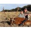 Image 2 : MG Hunting: 5 Day Red Stag Hunt for 1 Hunter in Argentina