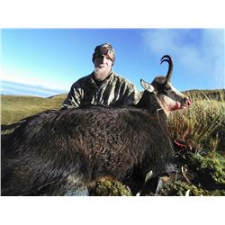 Matthews Hunting Safaris: 3 Day Chamois Hunt for 4 Hunters on South Island of New Zealand