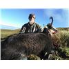 Image 1 : Matthews Hunting Safaris: 3 Day Chamois Hunt for 4 Hunters on South Island of New Zealand