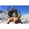 Image 3 : Guiseppe Carrizosa: Four Day Hunt for 1 Hunter for Cantabrian Chamois