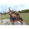 Image 4 : Guiseppe Carrizosa: Four Day Hunt for 1 Hunter for Cantabrian Chamois
