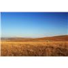 Image 3 : WOW Africa:10 Day Plains Game Hunt for 2 Hunters/2 Non Hunters in Zululand, South Africa, including 