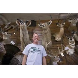 $500.00 Gift Certificate to Tom's Taxidermy