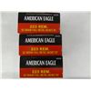 Image 1 : 60 American Eagle .223 62 gr JHP