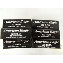 120 American Eagle .223 55 gr FMJ