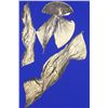Image 1 : Lynda Benglis, Dual Nature Large (Blue), Lithograph