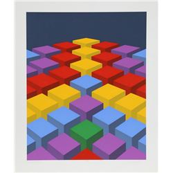 Marko Spalatin, Cubefield X, Serigraph