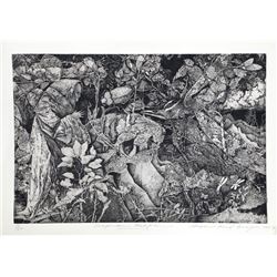 Stephen Raul Anaya, Compendium Maleficaran, Etching