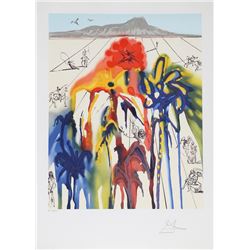 Salvador Dali, Diamond Head, Lithograph