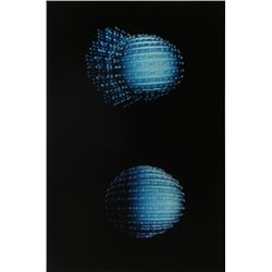 Gretchen Bender, Untitled from Bill T. Jones Portfolio, Color Photograph