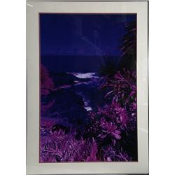 Alan Dennis, Tropical Beach, Dye Transfer Photograph