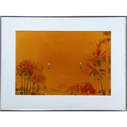 Alan Dennis, Palm Trees, Color Photograph