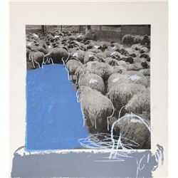 Menashe Kadishman, Sheep 8, Etching and Serigraph