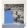 Image 1 : Menashe Kadishman, Sheep 8, Etching and Serigraph