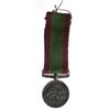 Image 3 : British Victoria Campaign Medals