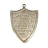 Image 2 : 1870 US Ratification Badge