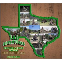 2-day/2-night Texas Exotic Hunt for Two Hunters and Two Observers
